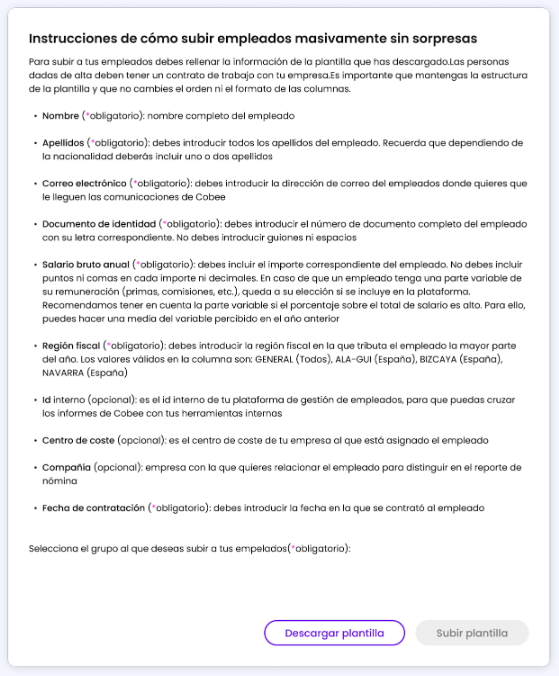 Instrucciones_masivo.png